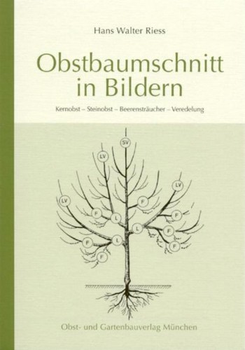Obstbaumschnitt bildern - in,